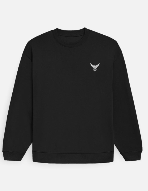 Plain Sweatshirt (Black Color) with all Size Variants