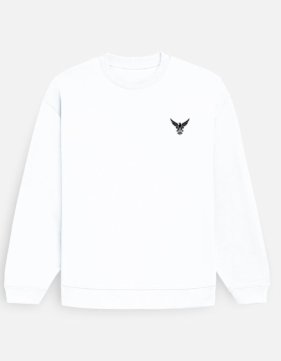 Asthetics Plain Sweatshirt Collection