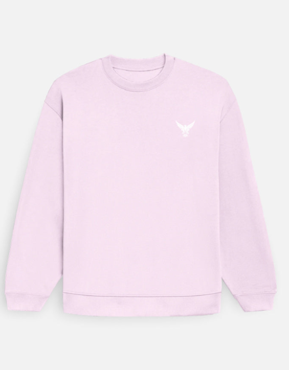 Plain Sweatshirt (Light pink Color) with all Size Variants